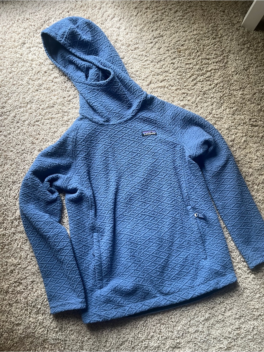 Patagonia Blue Capra Hooded Fleece Pullover.